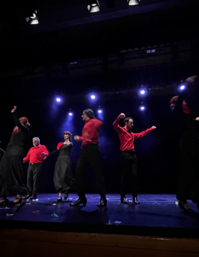 flamenco en alicante